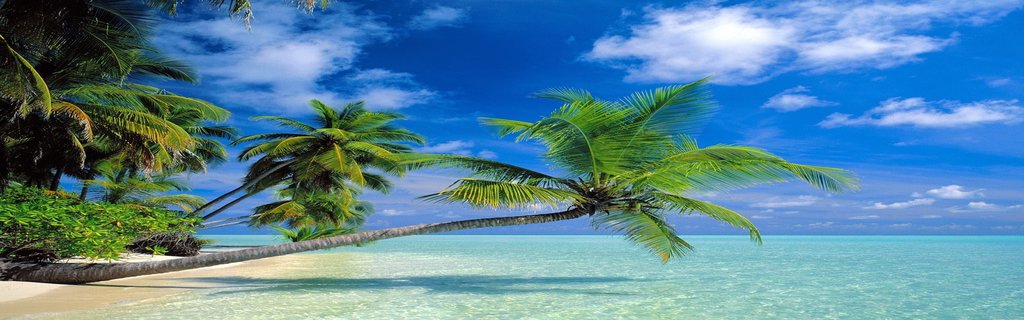 Chính sách miễn trừ trách nhiệm